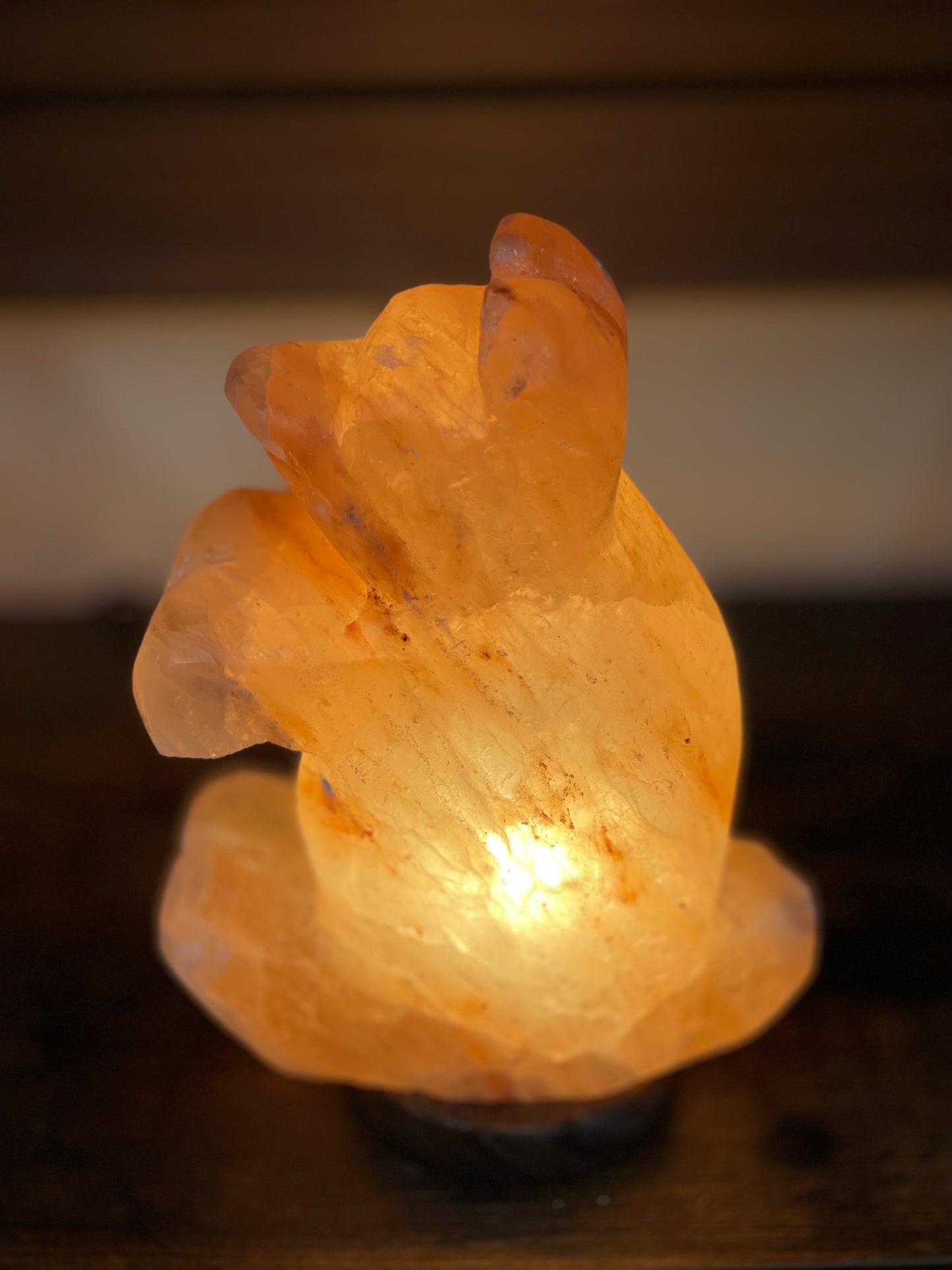 Life is a Bear! Orange Himalayan salt lamp