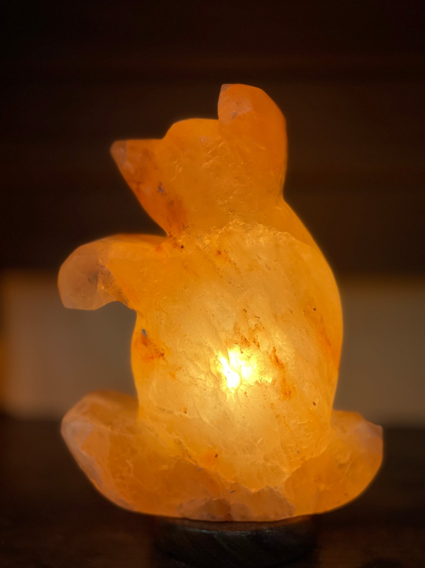 Life is a Bear! Orange Himalayan salt lamp