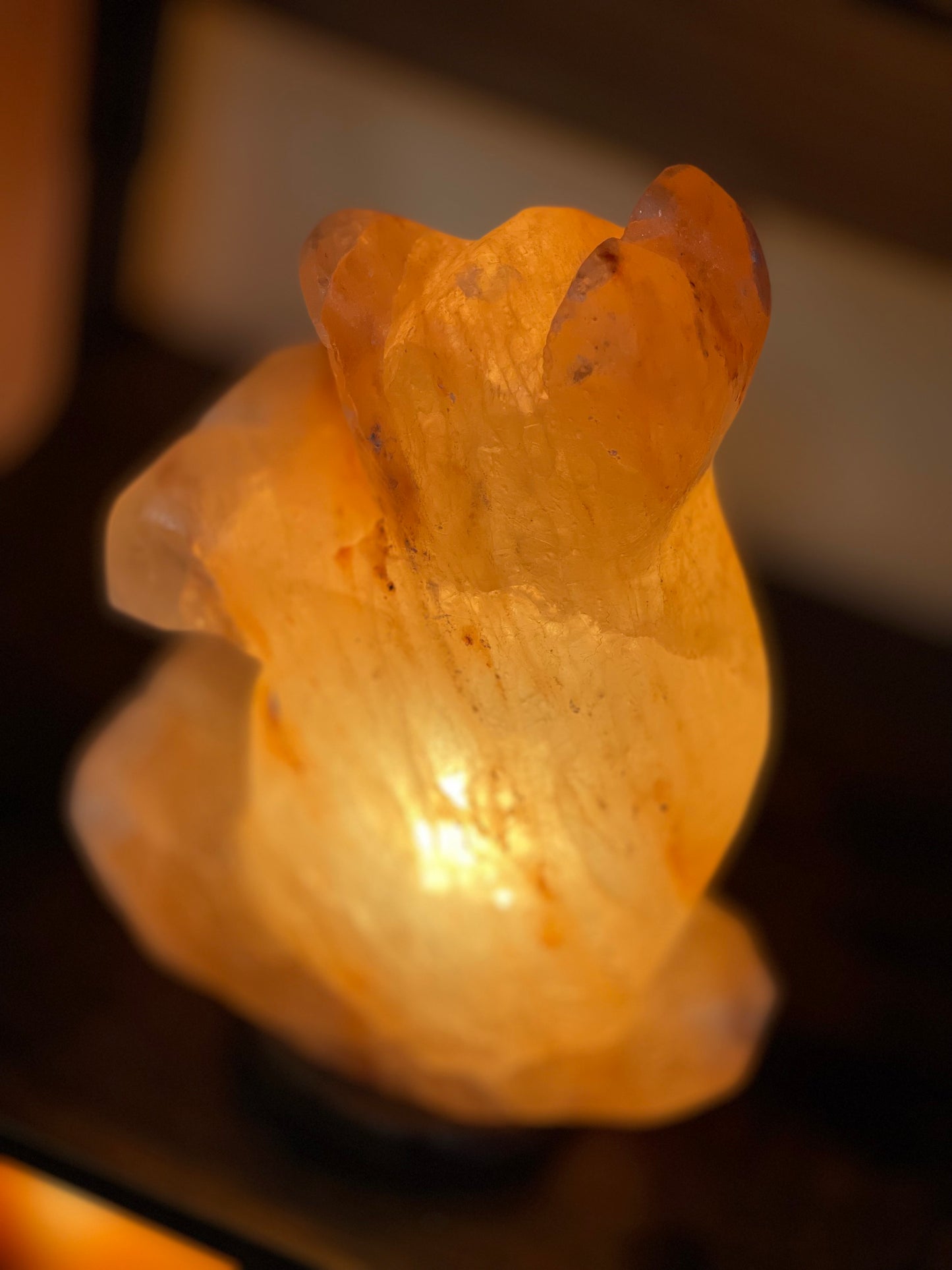 Life is a Bear! Orange Himalayan salt lamp