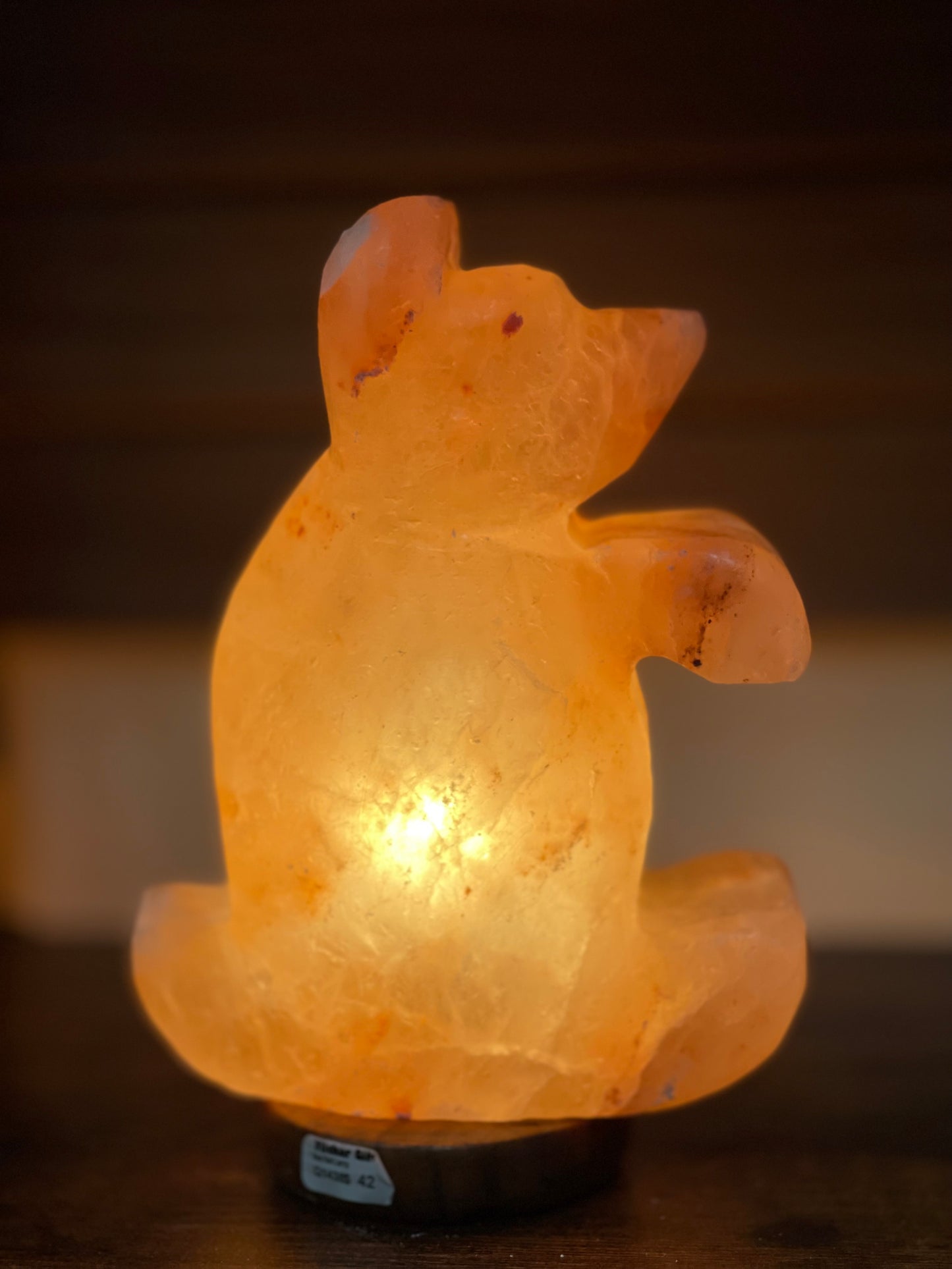 Life is a Bear! Orange Himalayan salt lamp