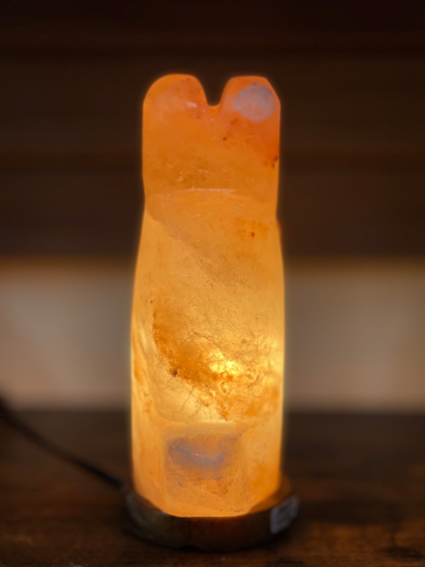 Life is a Bear! Orange Himalayan salt lamp