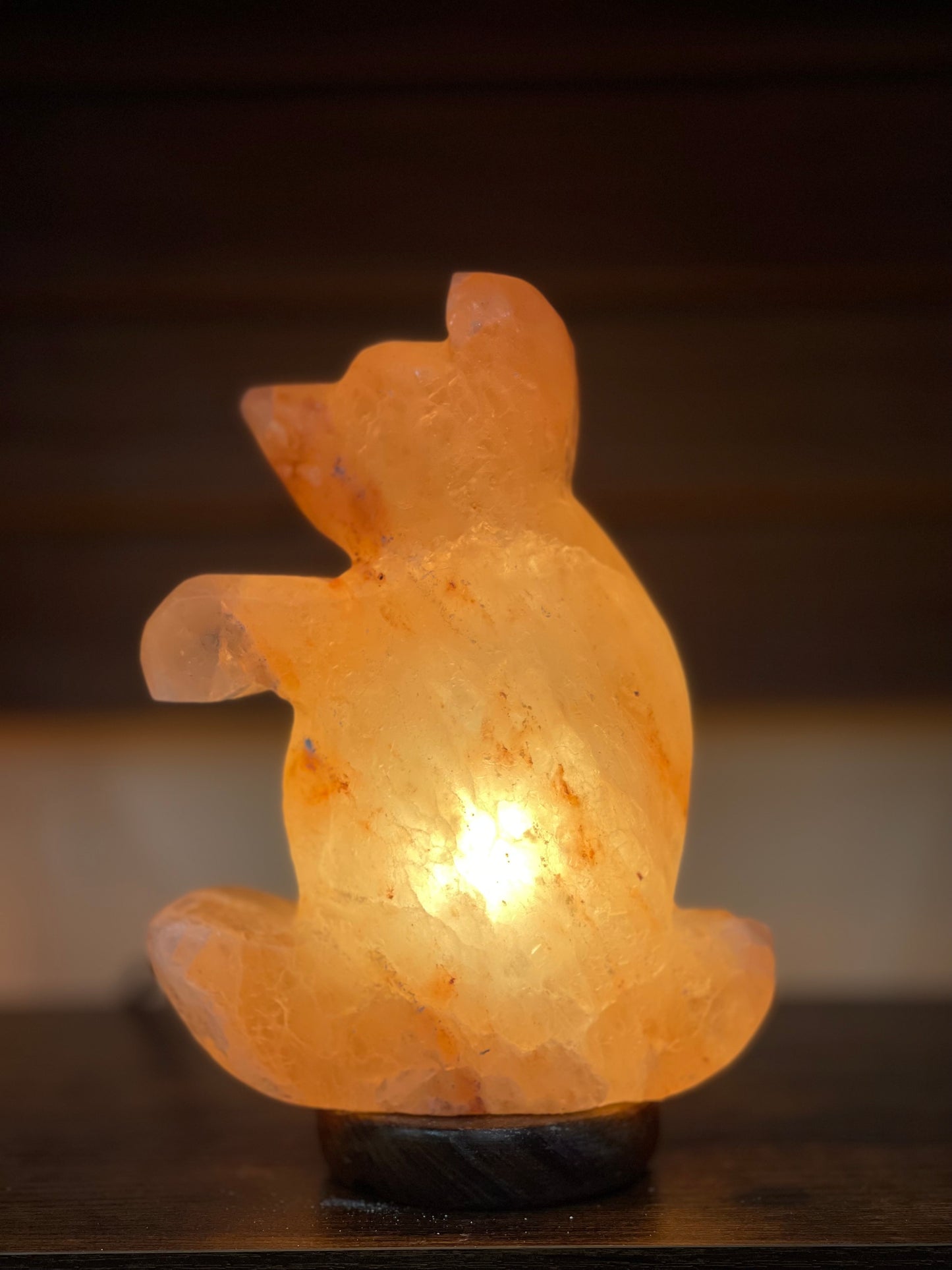 Life is a Bear! Orange Himalayan salt lamp