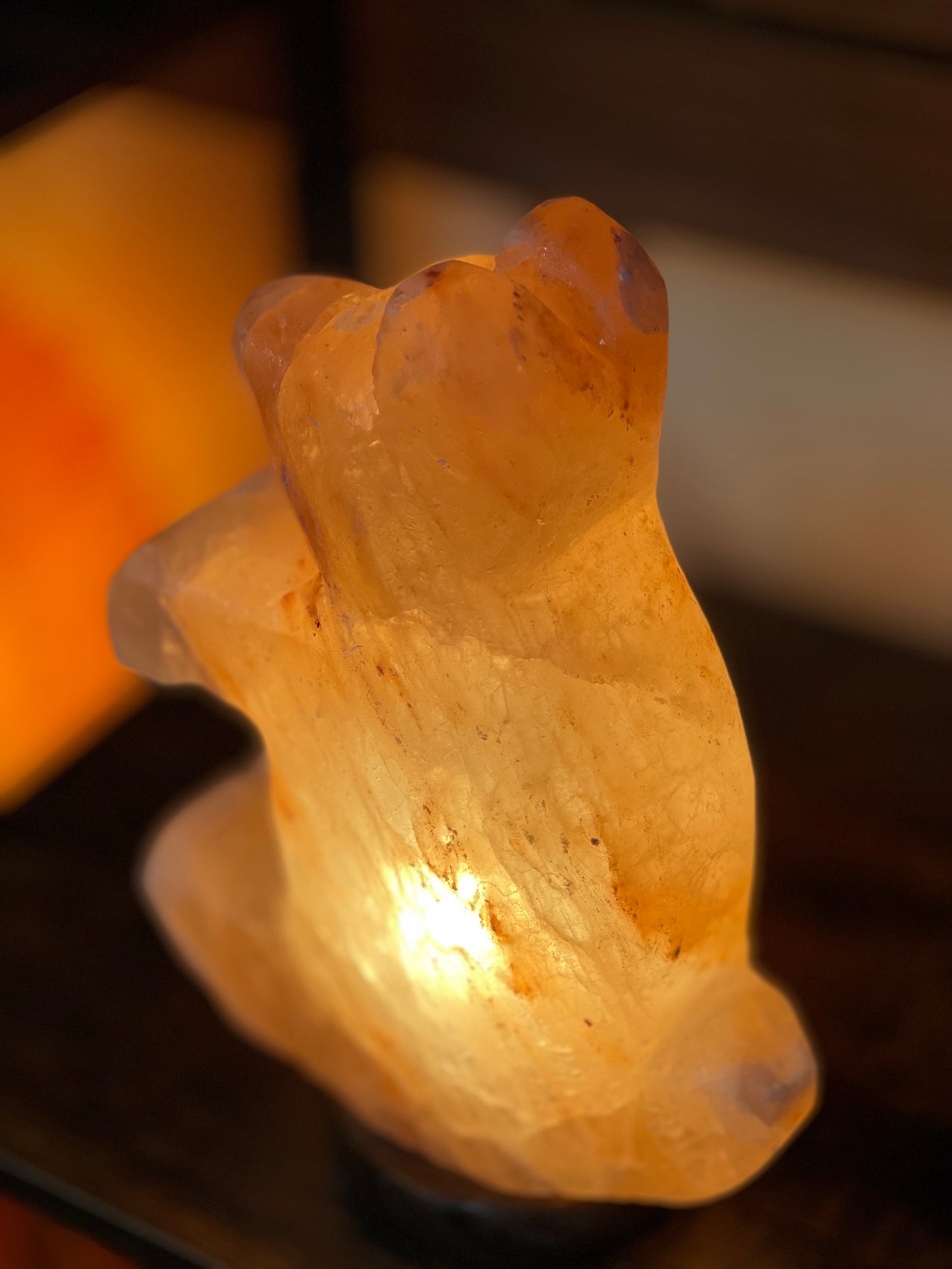 Life is a Bear! Orange Himalayan salt lamp