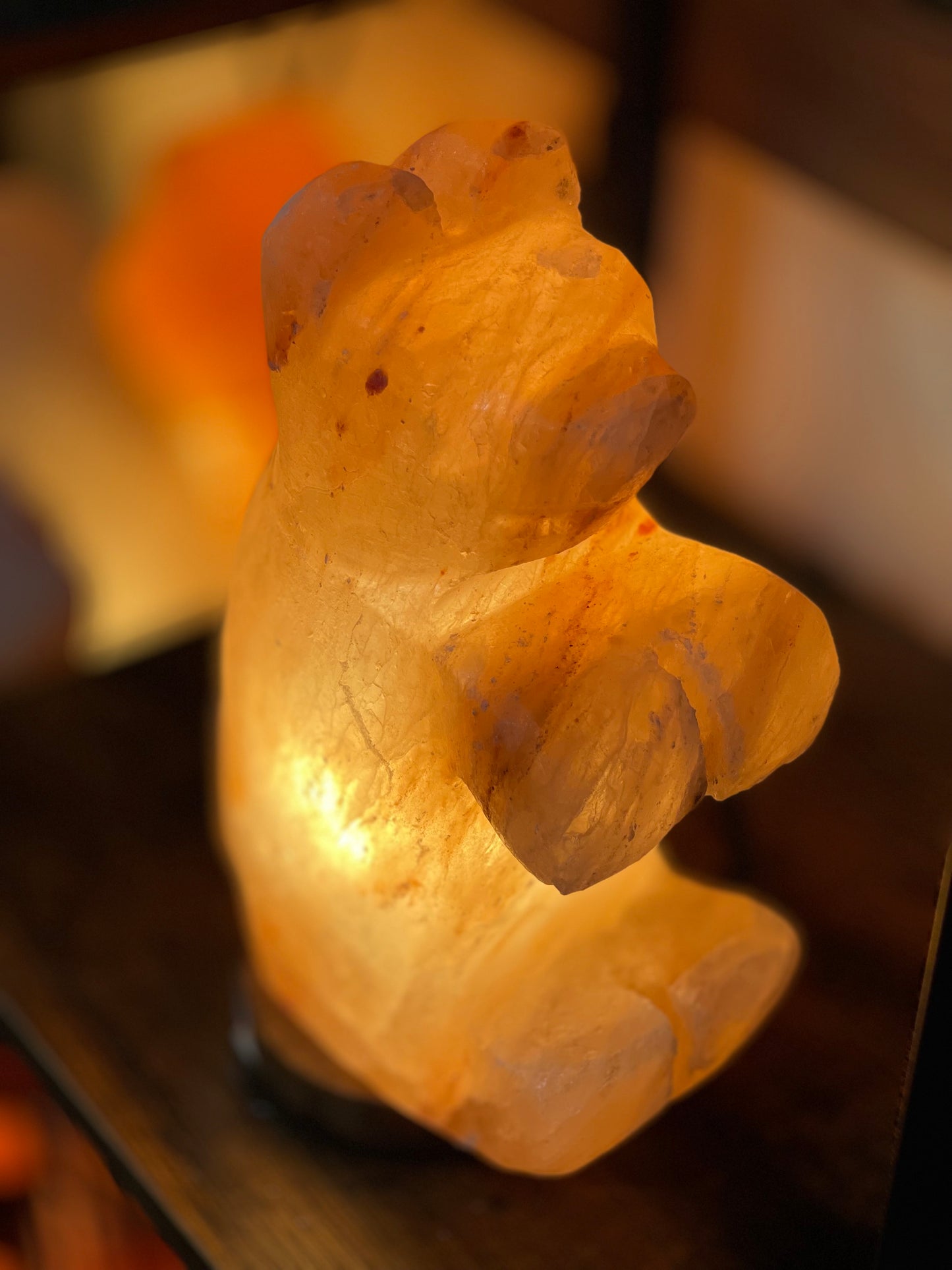 Life is a Bear! Orange Himalayan salt lamp